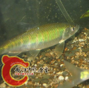 未命名1.jpg