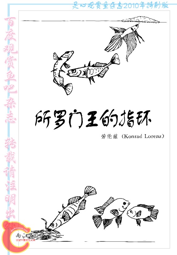所罗门王的指环-Ao02.jpg