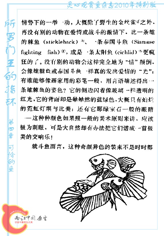 所罗门王的指环-Ao07.jpg