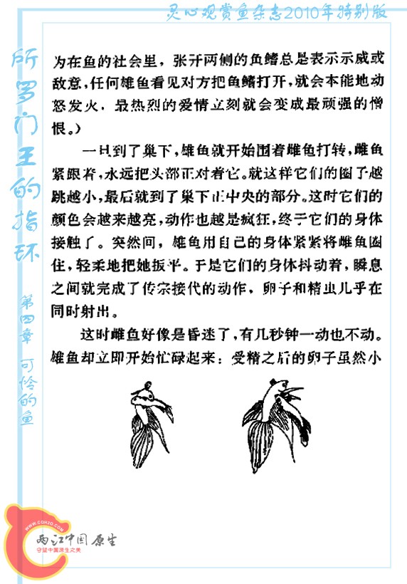 所罗门王的指环-Ao17.jpg