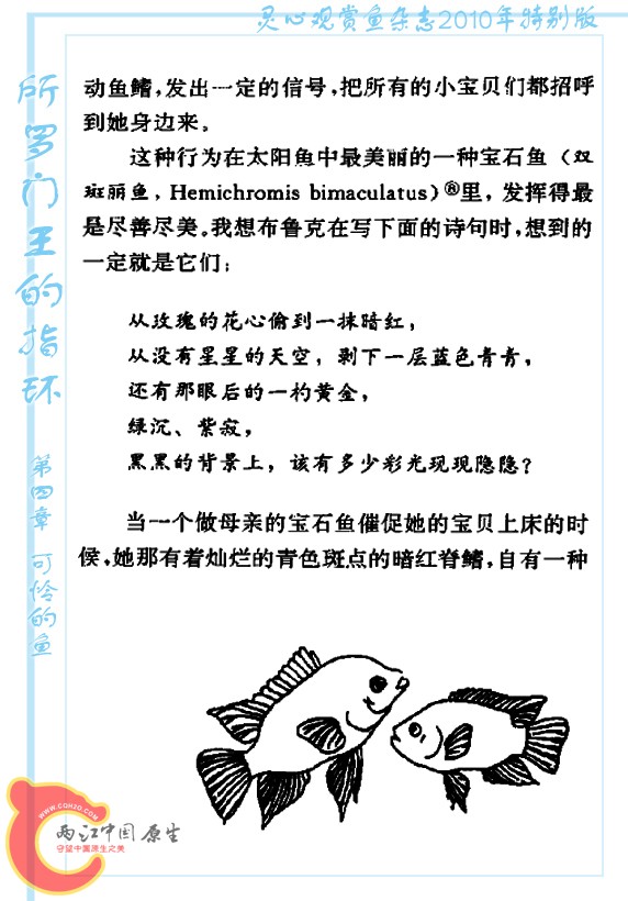 所罗门王的指环-Ao25.jpg