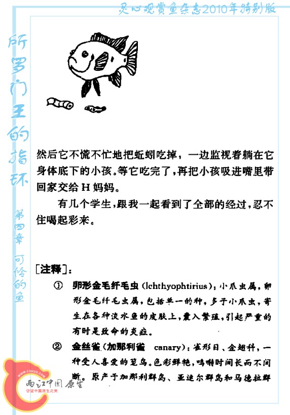 所罗门王的指环-Ao28.jpg