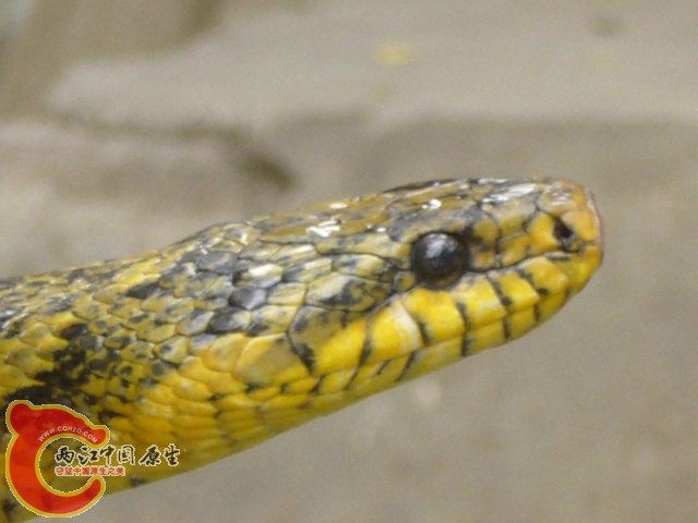 照片 554.jpg