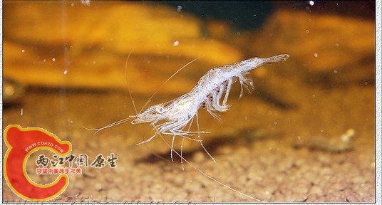未命名2.jpg