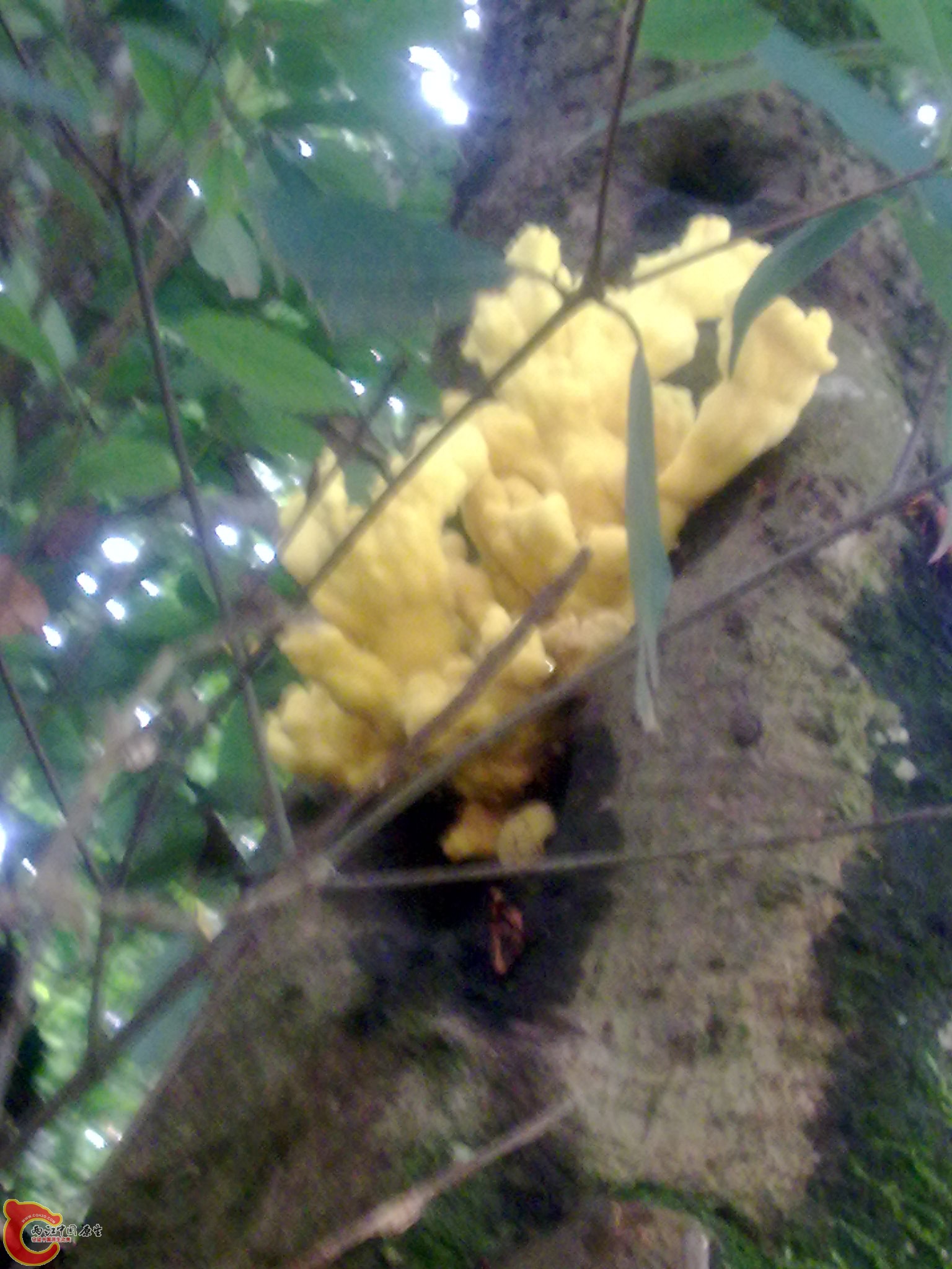 20110721236.jpg