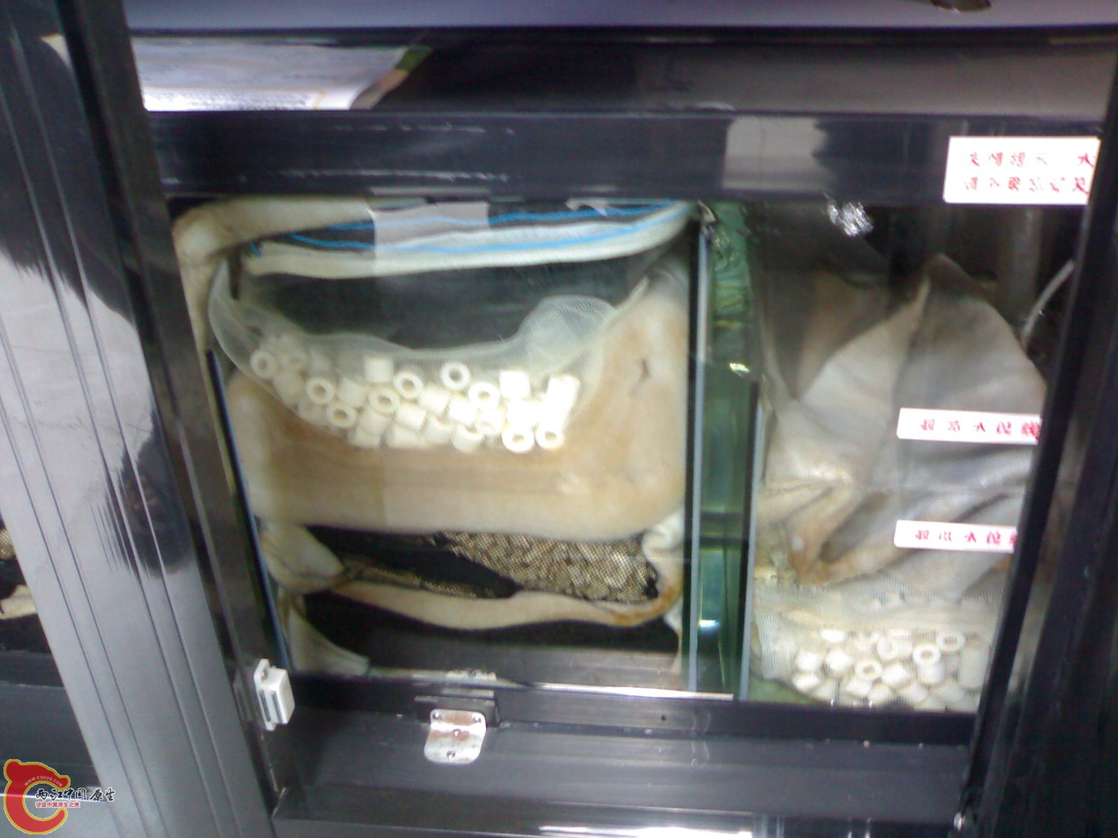 20110716552.jpg