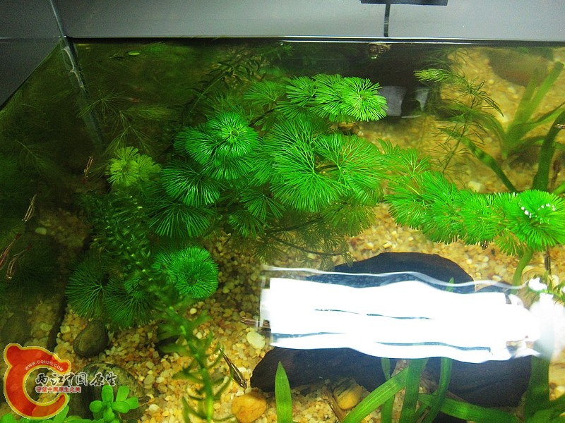 nEO_IMG_p 008.jpg