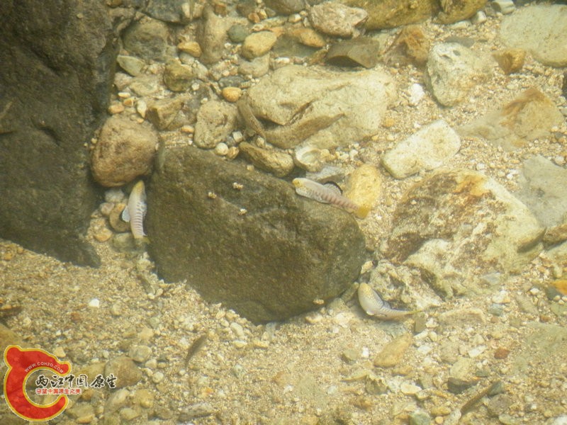 DSCF0024.JPG