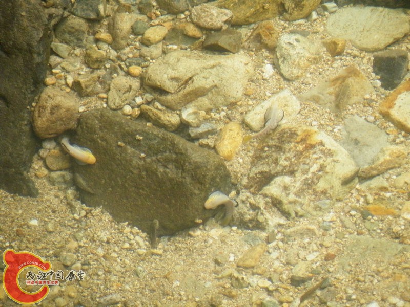 DSCF0025.JPG