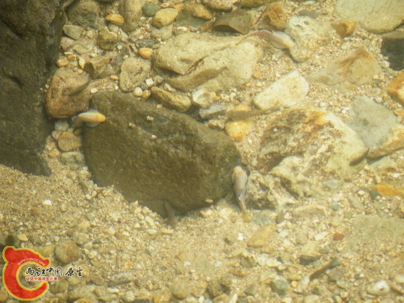DSCF0026.JPG