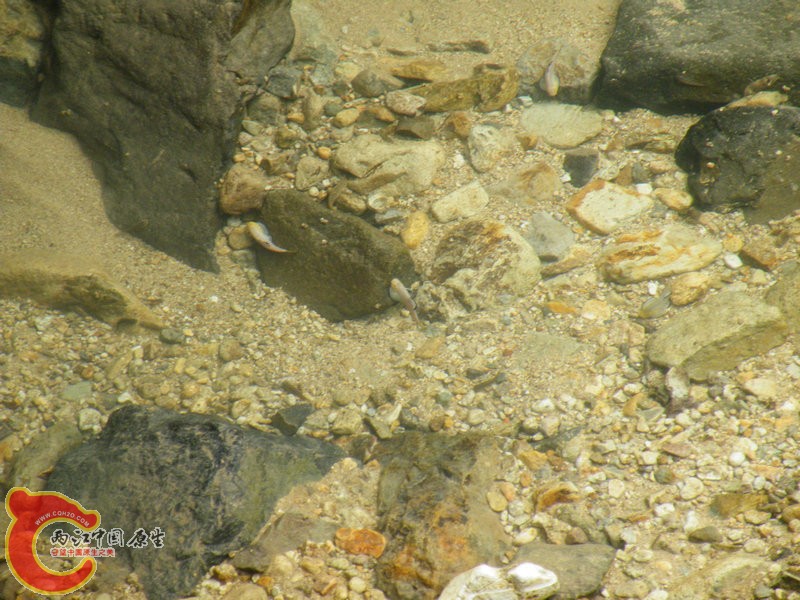 DSCF0029.JPG