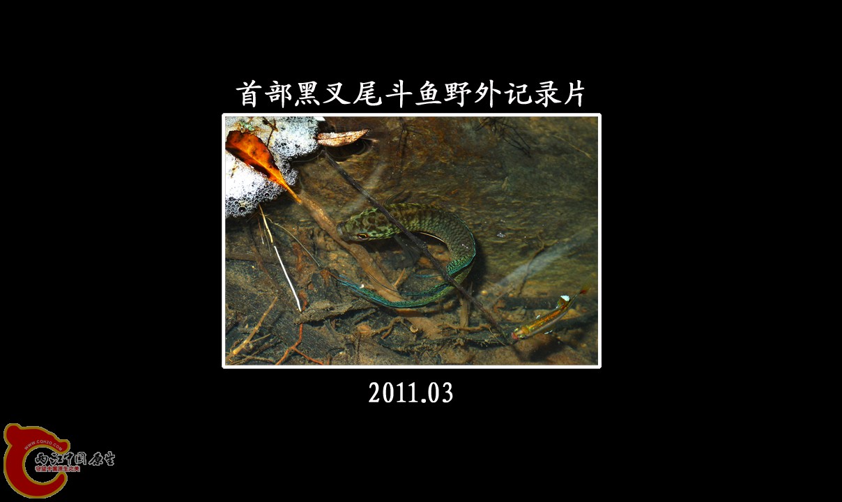 片首（原始）.jpg