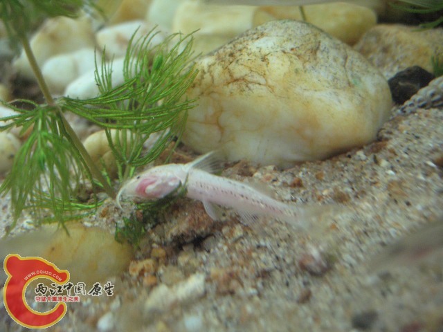 test1 499.jpg