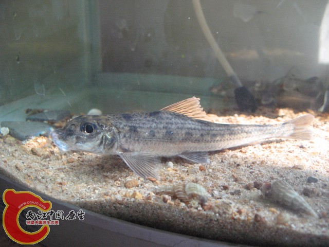 test1 539.jpg