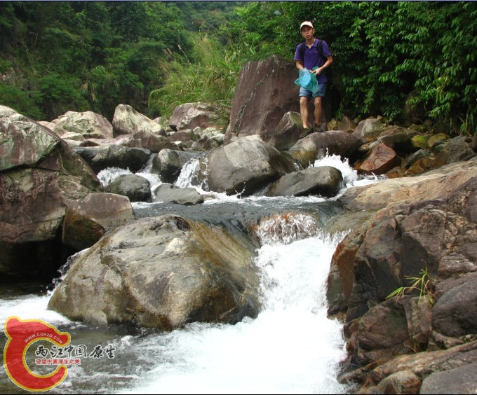 美女拍我.我有些紧张