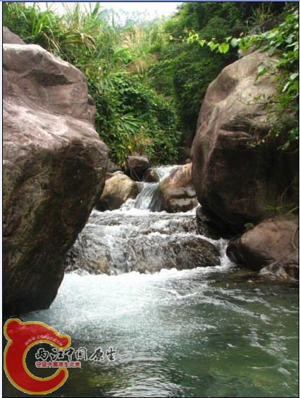 带泡泡浴效果的溪水