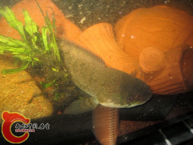 2011-07-27_21-55-41.JPG