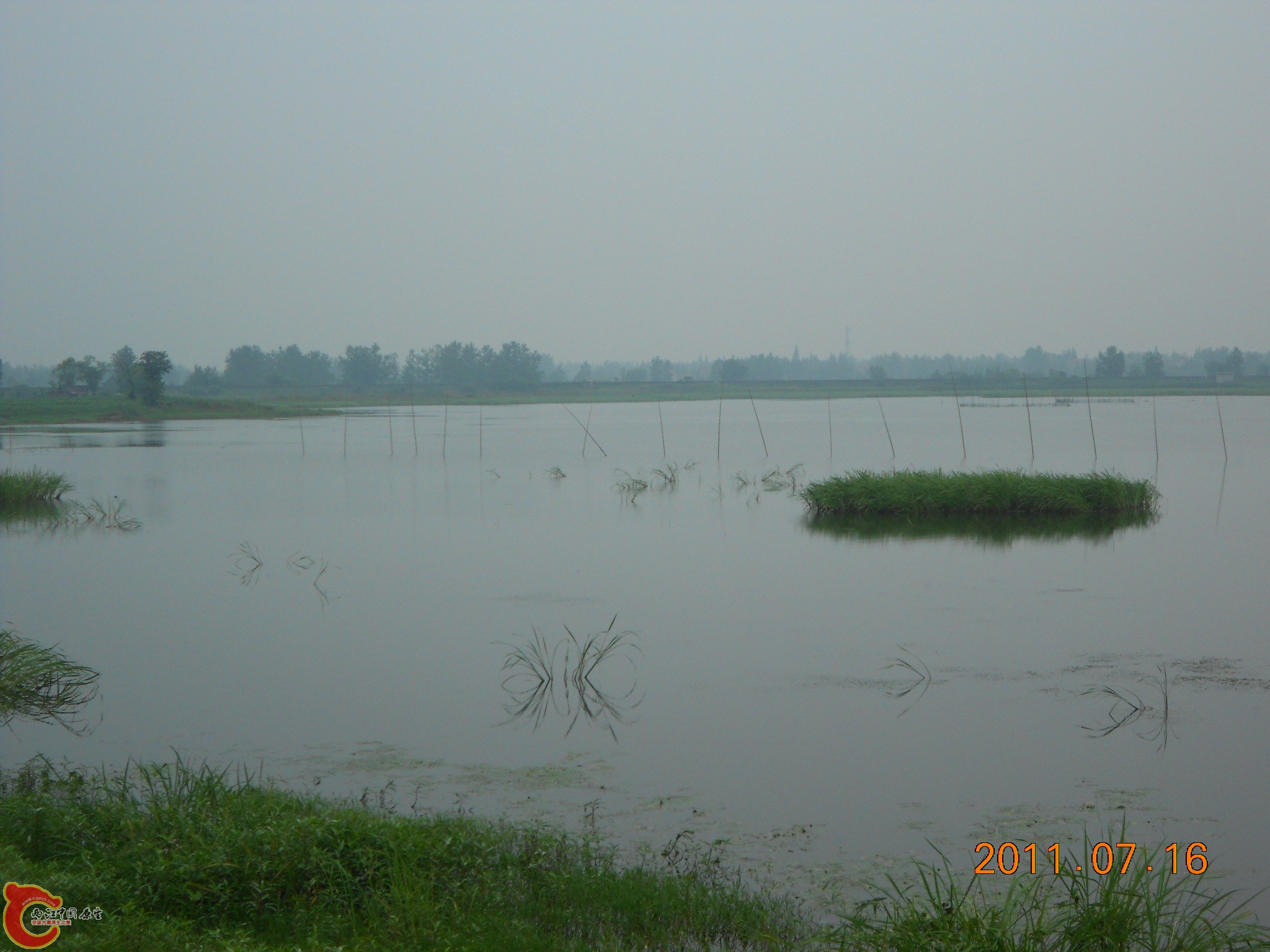 DSCN0774.JPG