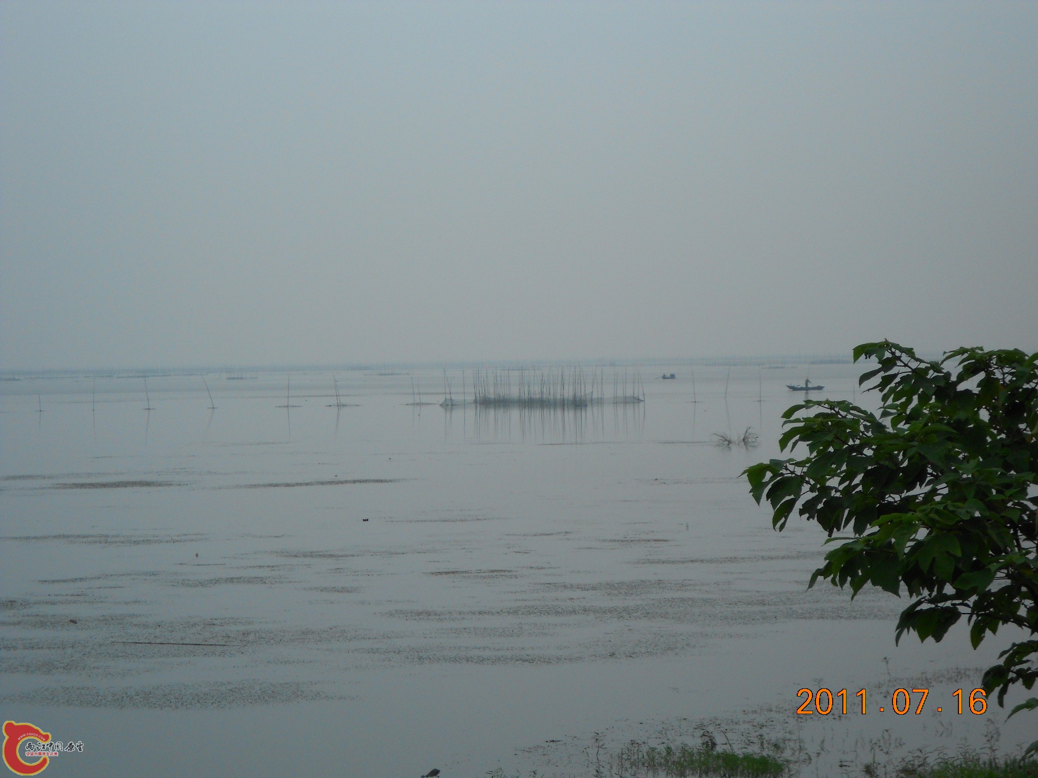 DSCN0776.JPG