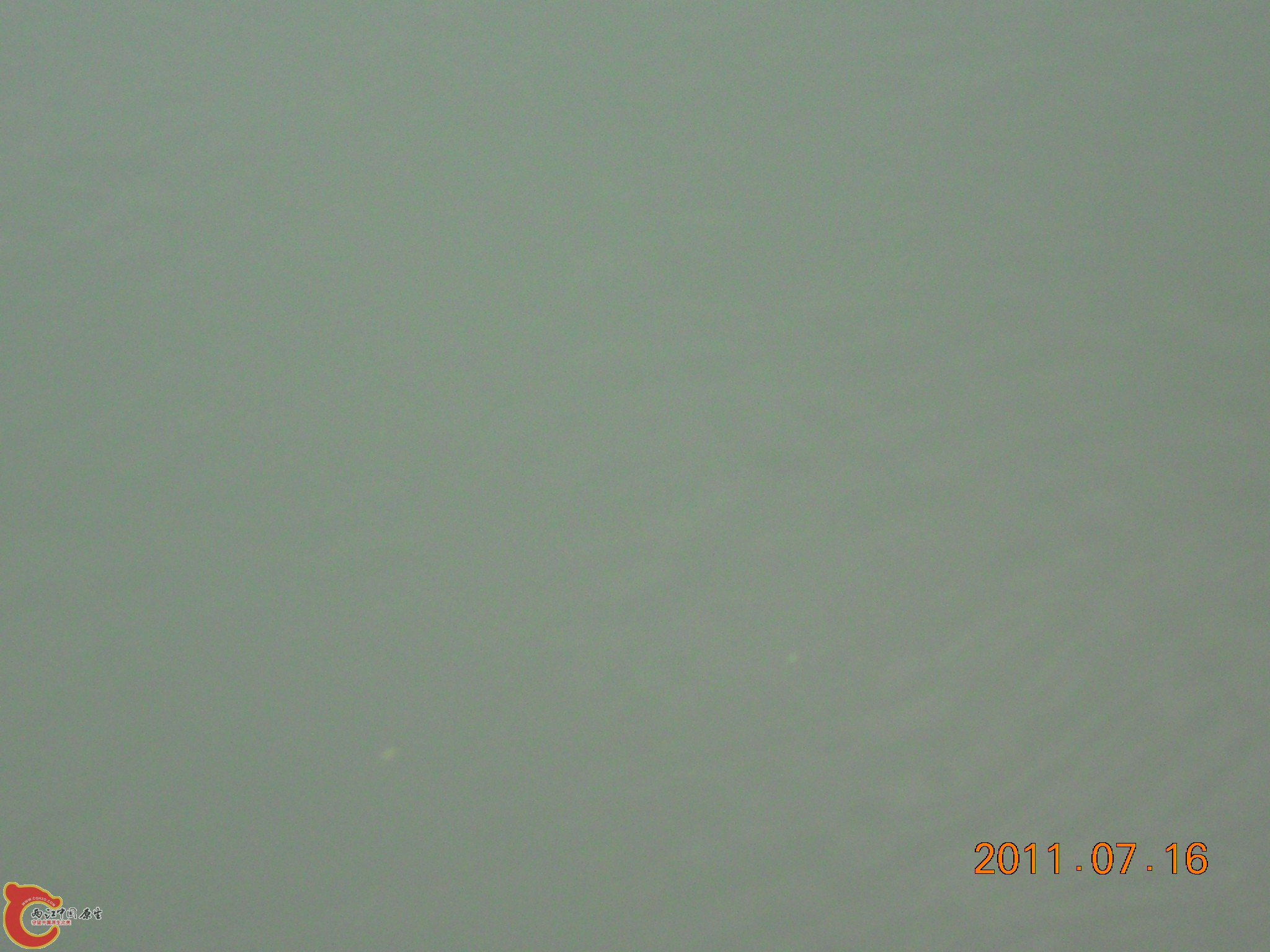 DSCN0797.JPG