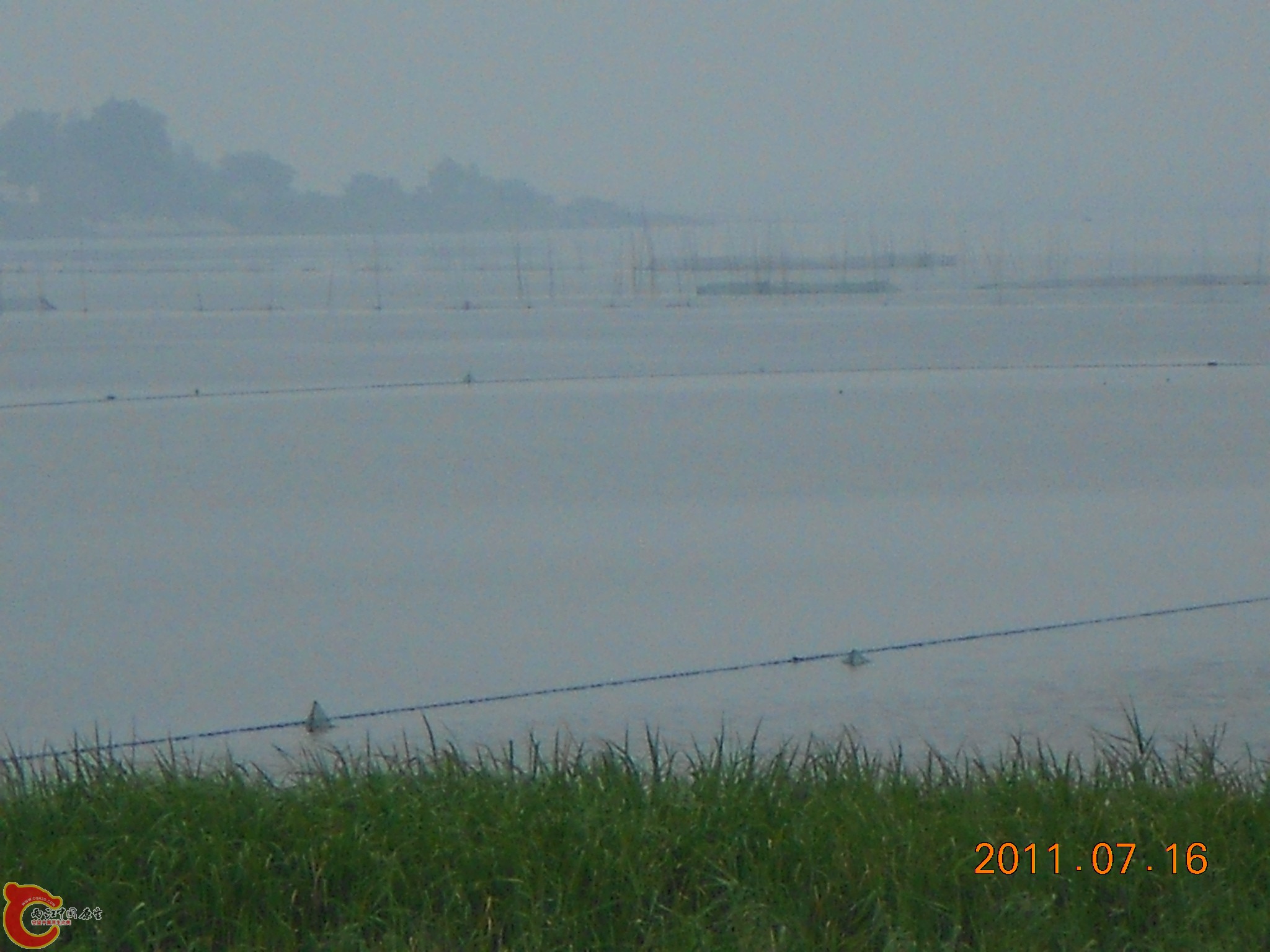 DSCN0781.JPG