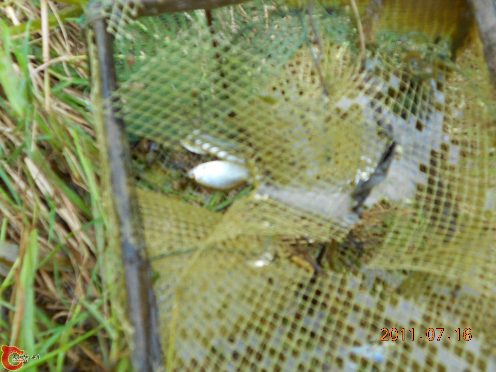 DSCN0784.JPG