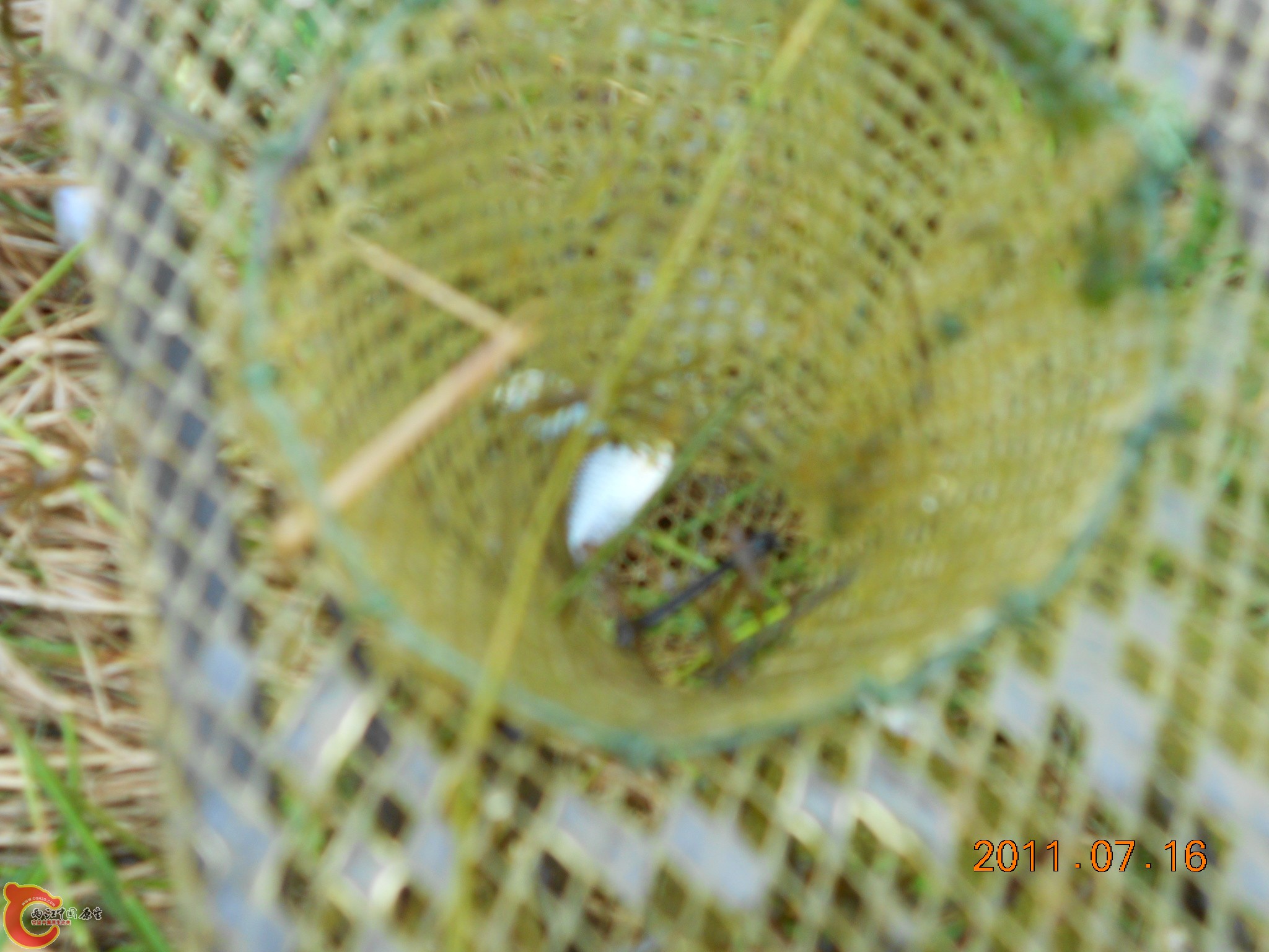 DSCN0786.JPG