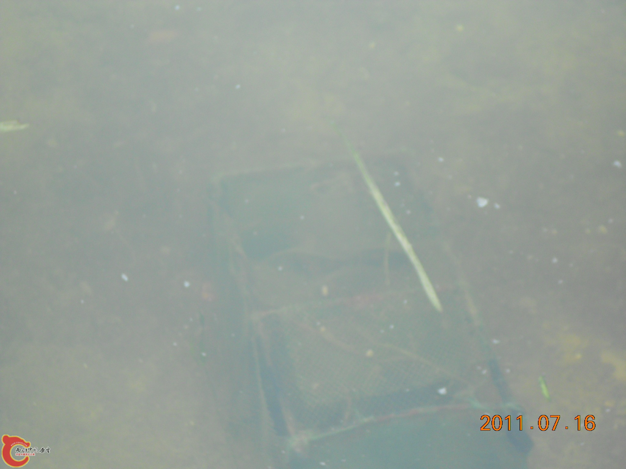 DSCN0787.JPG