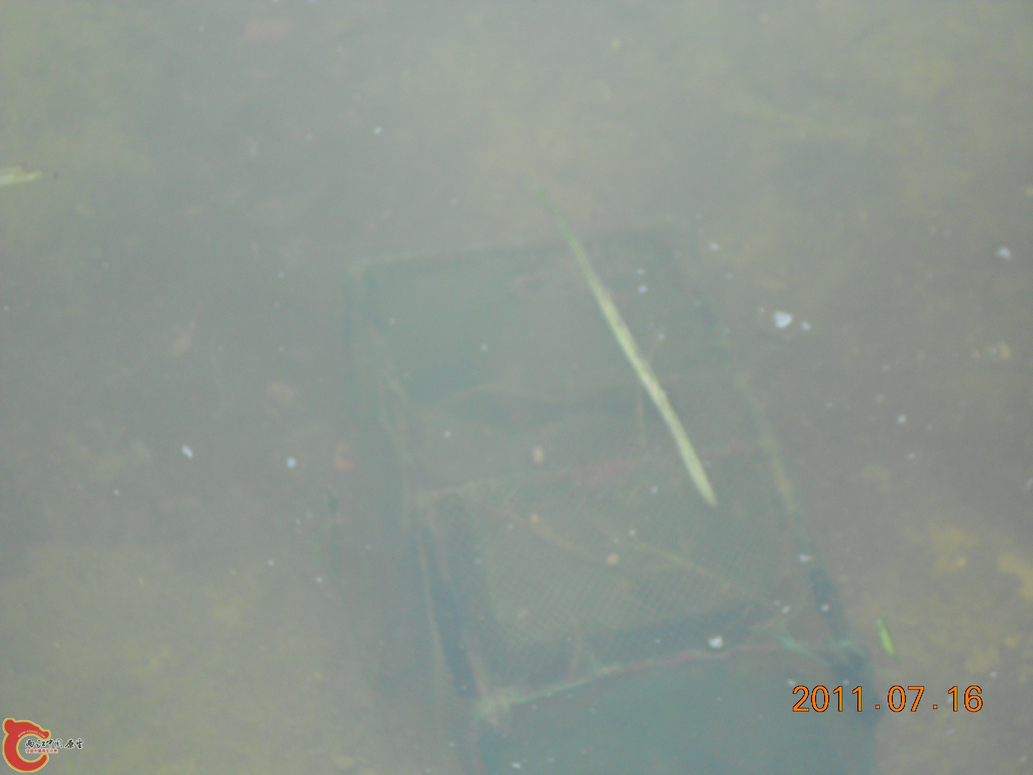 DSCN0788.JPG
