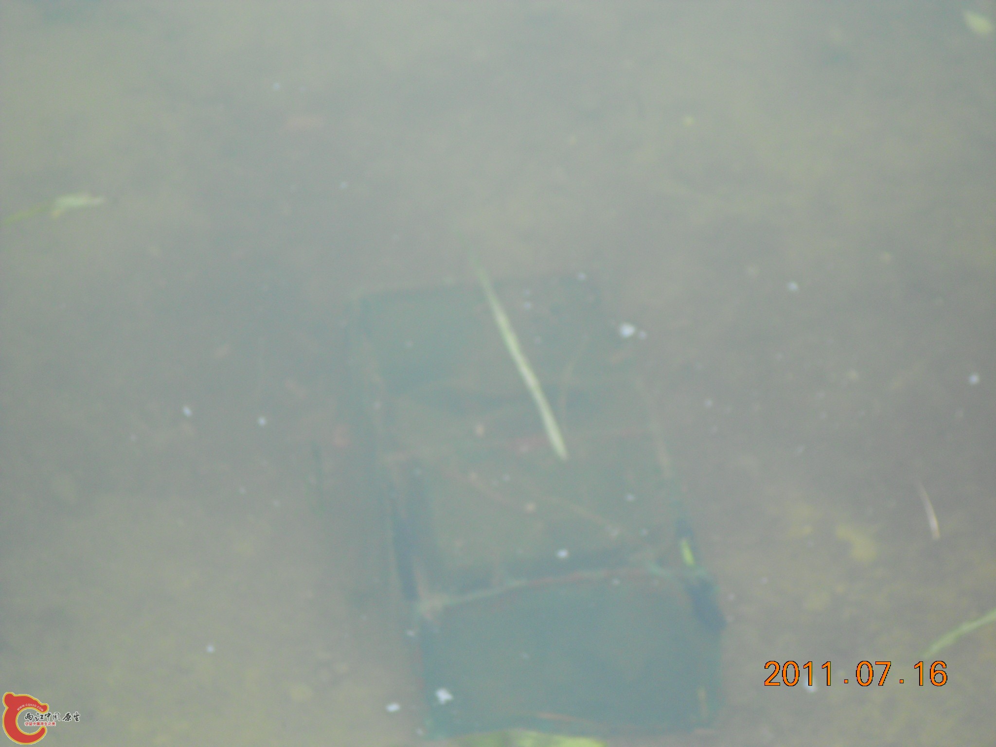 DSCN0789.JPG