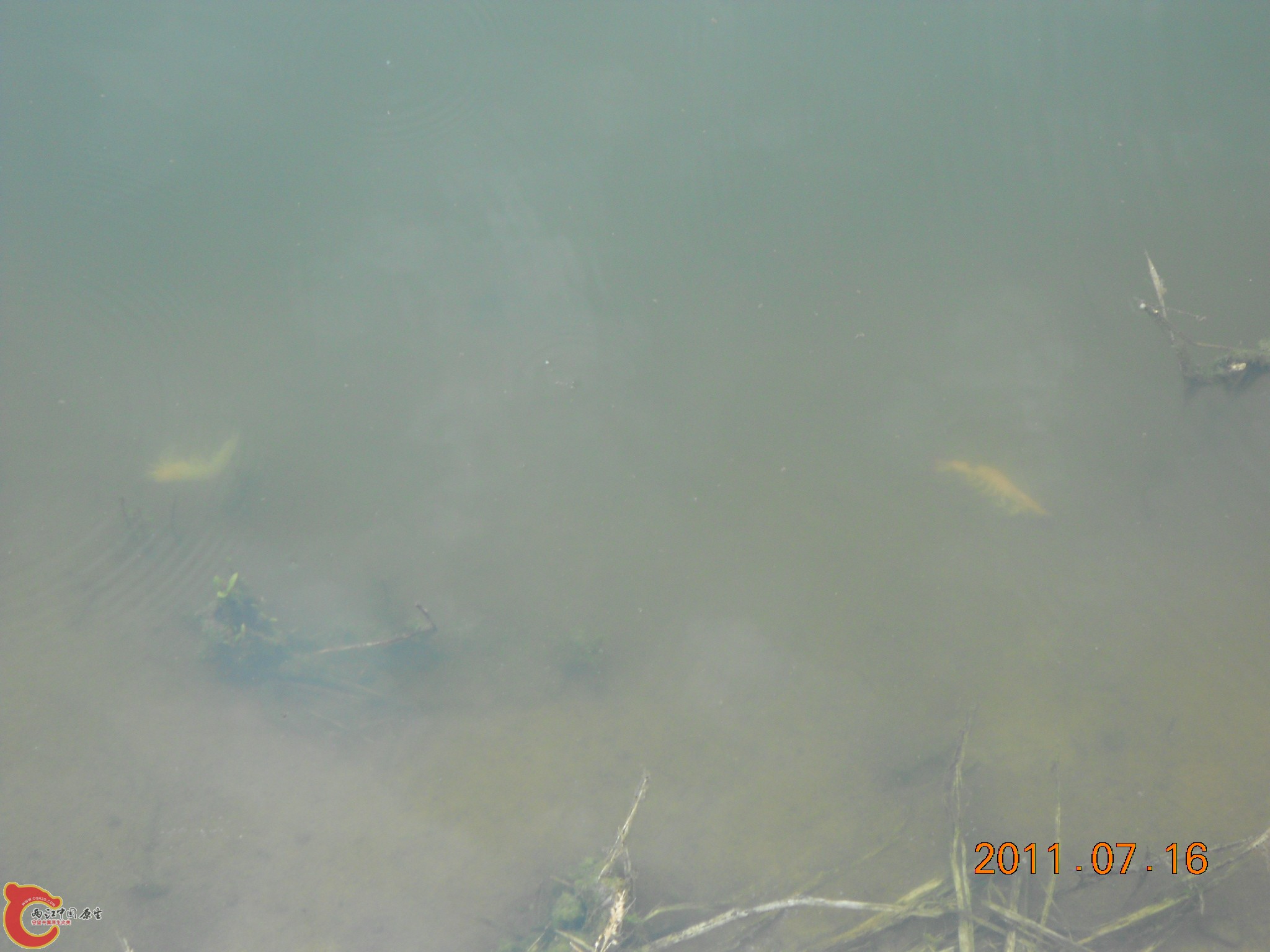DSCN0791.JPG