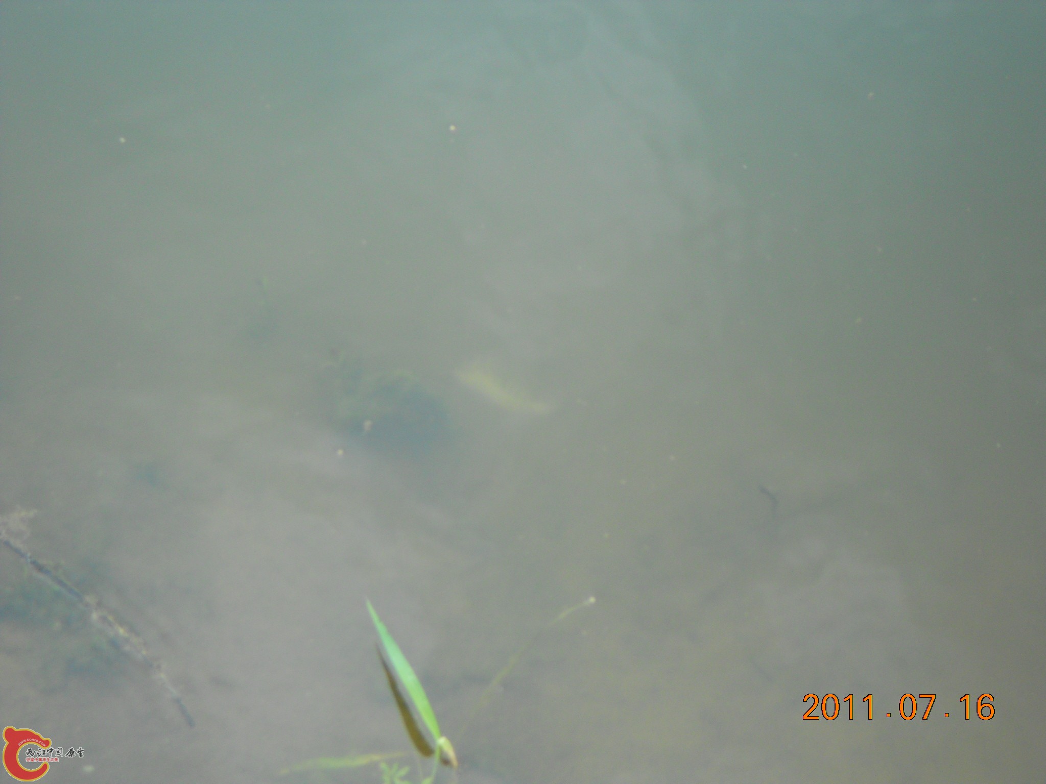 DSCN0792.JPG