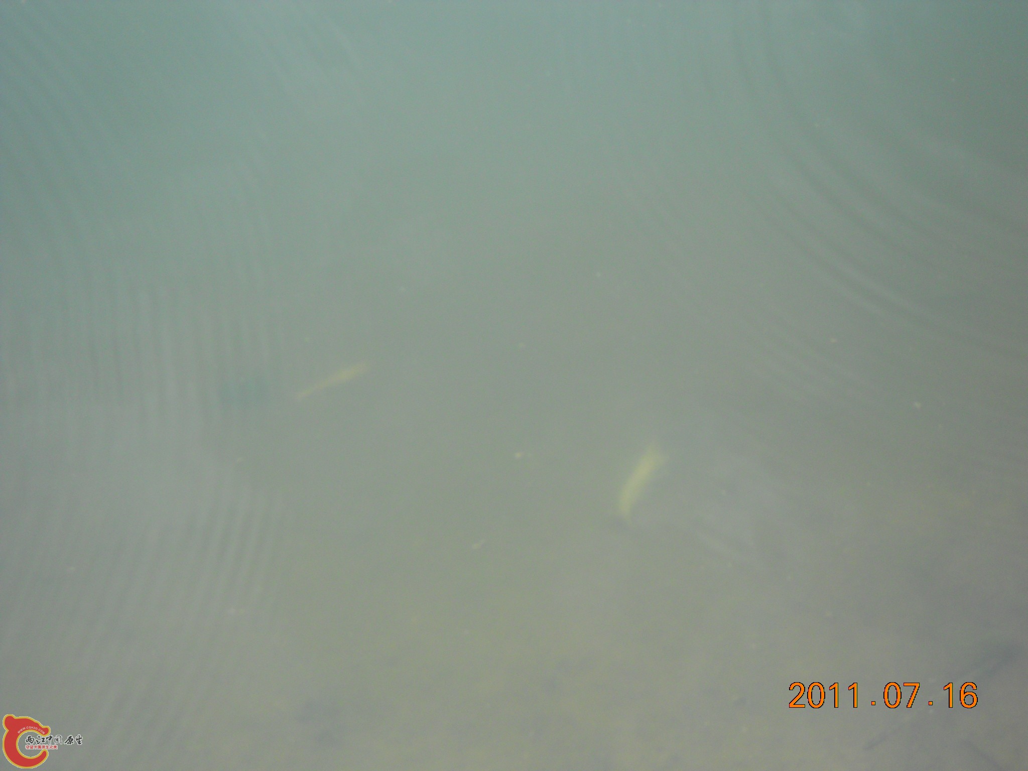 DSCN0793.JPG
