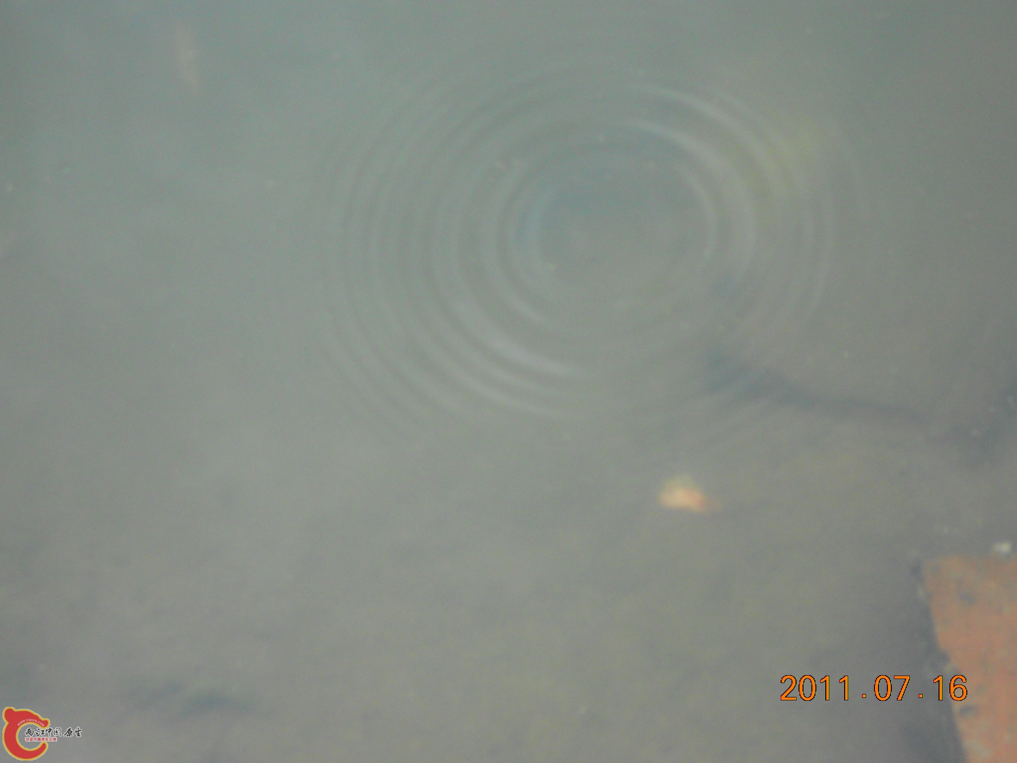 DSCN0794.JPG