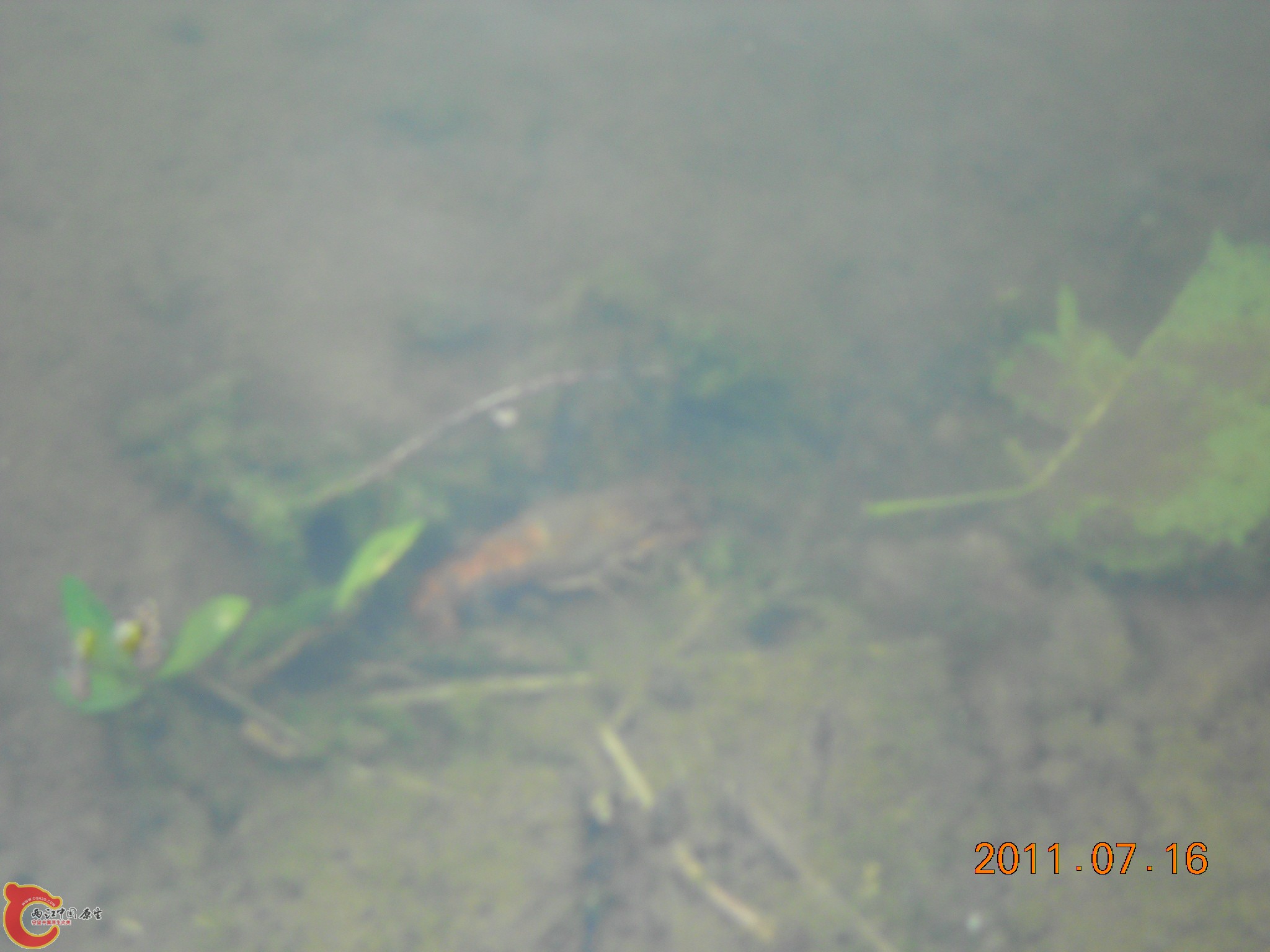 DSCN0795.JPG