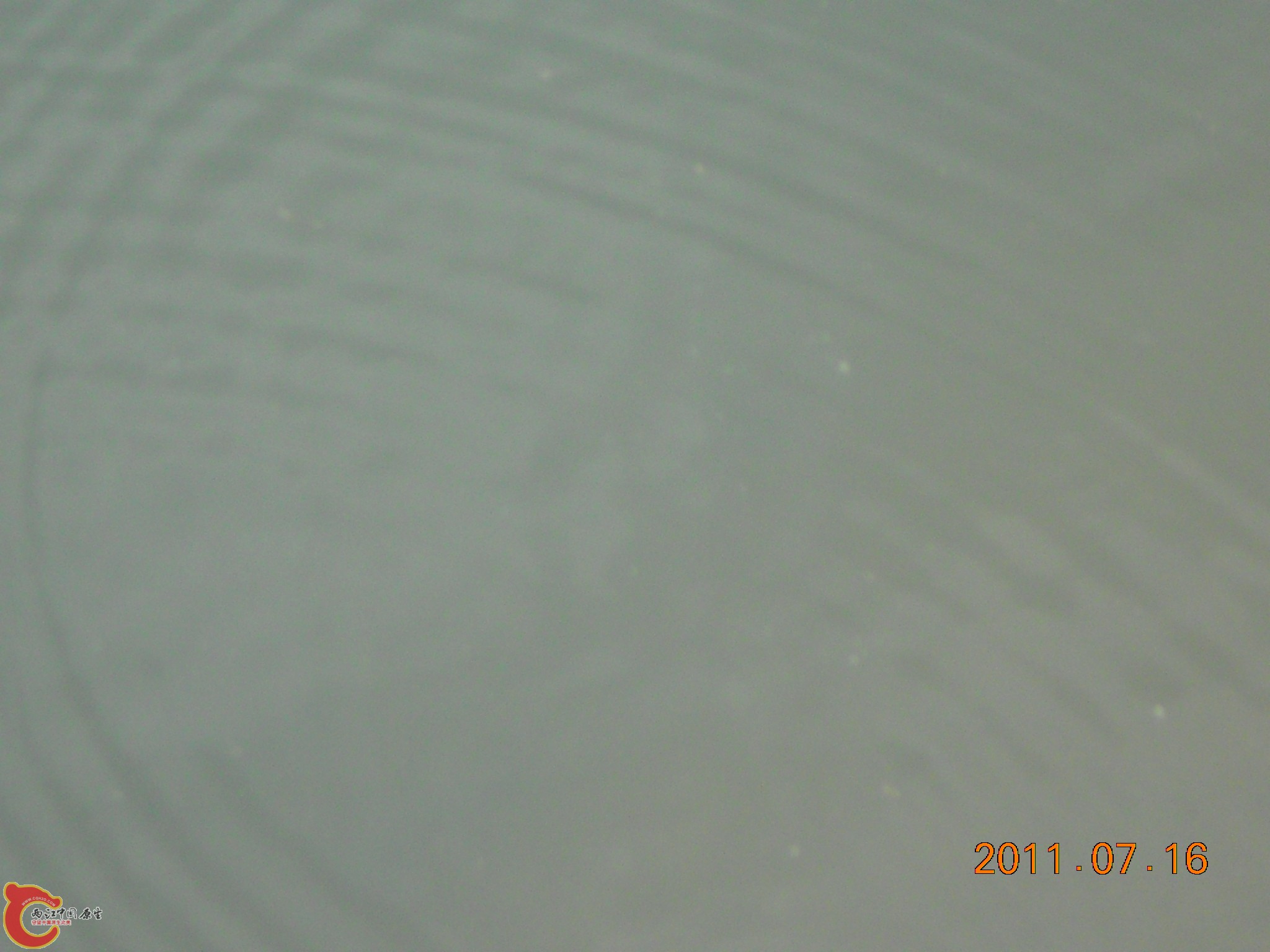 DSCN0796.JPG
