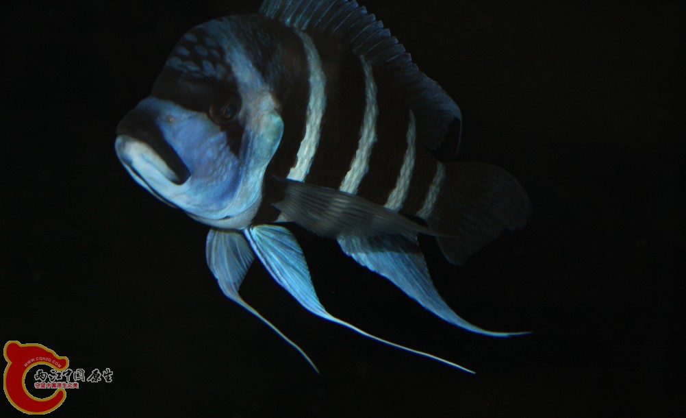07.jpg