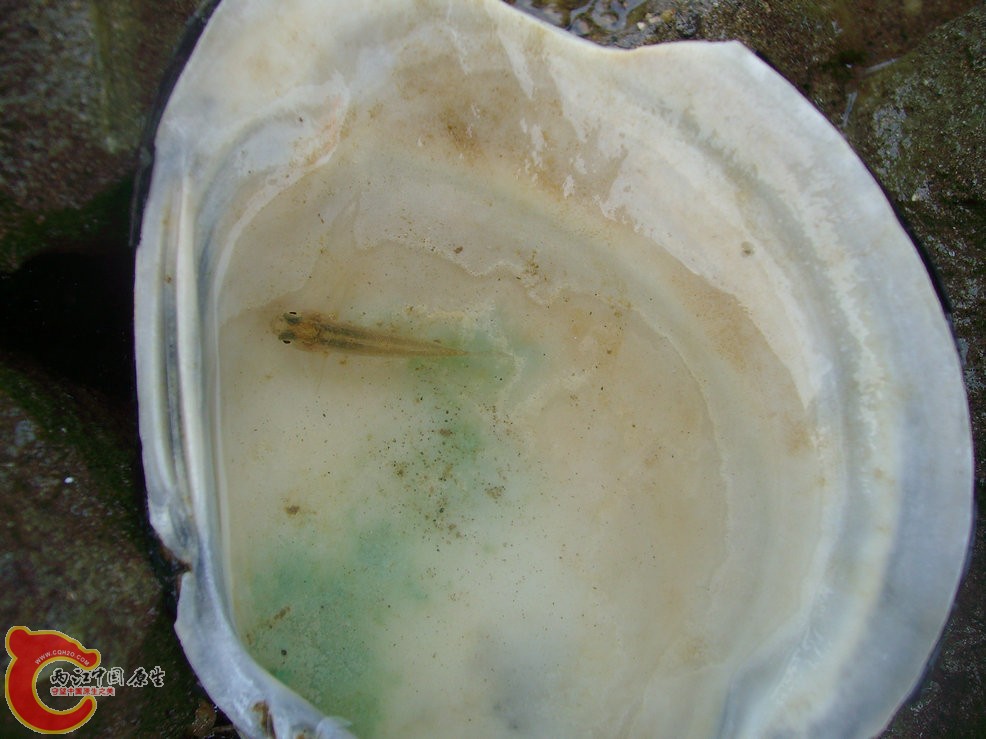 20110724-03.JPG