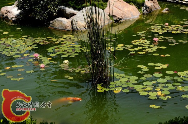 离住宿不远的饭店池子