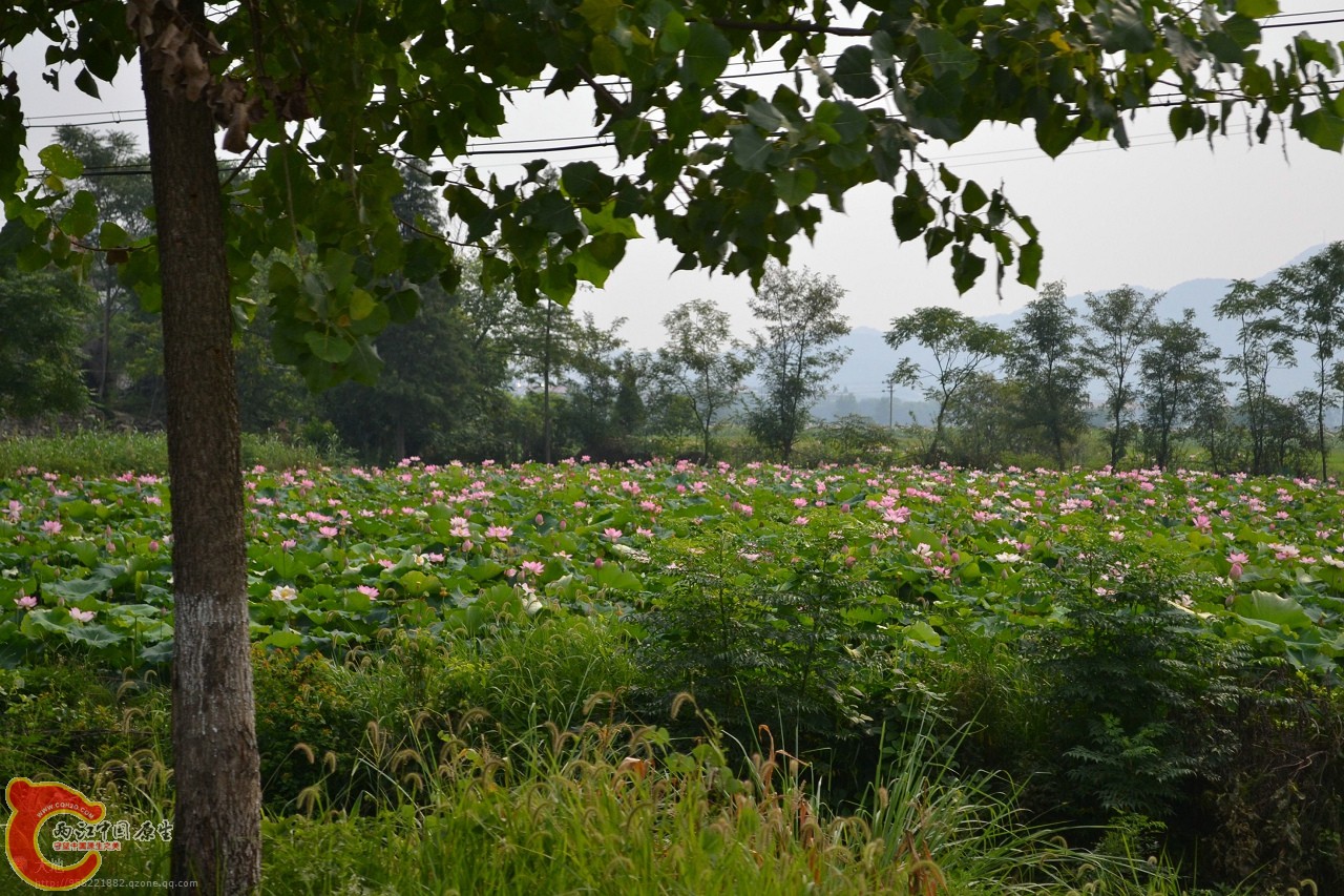 20110730683.jpg
