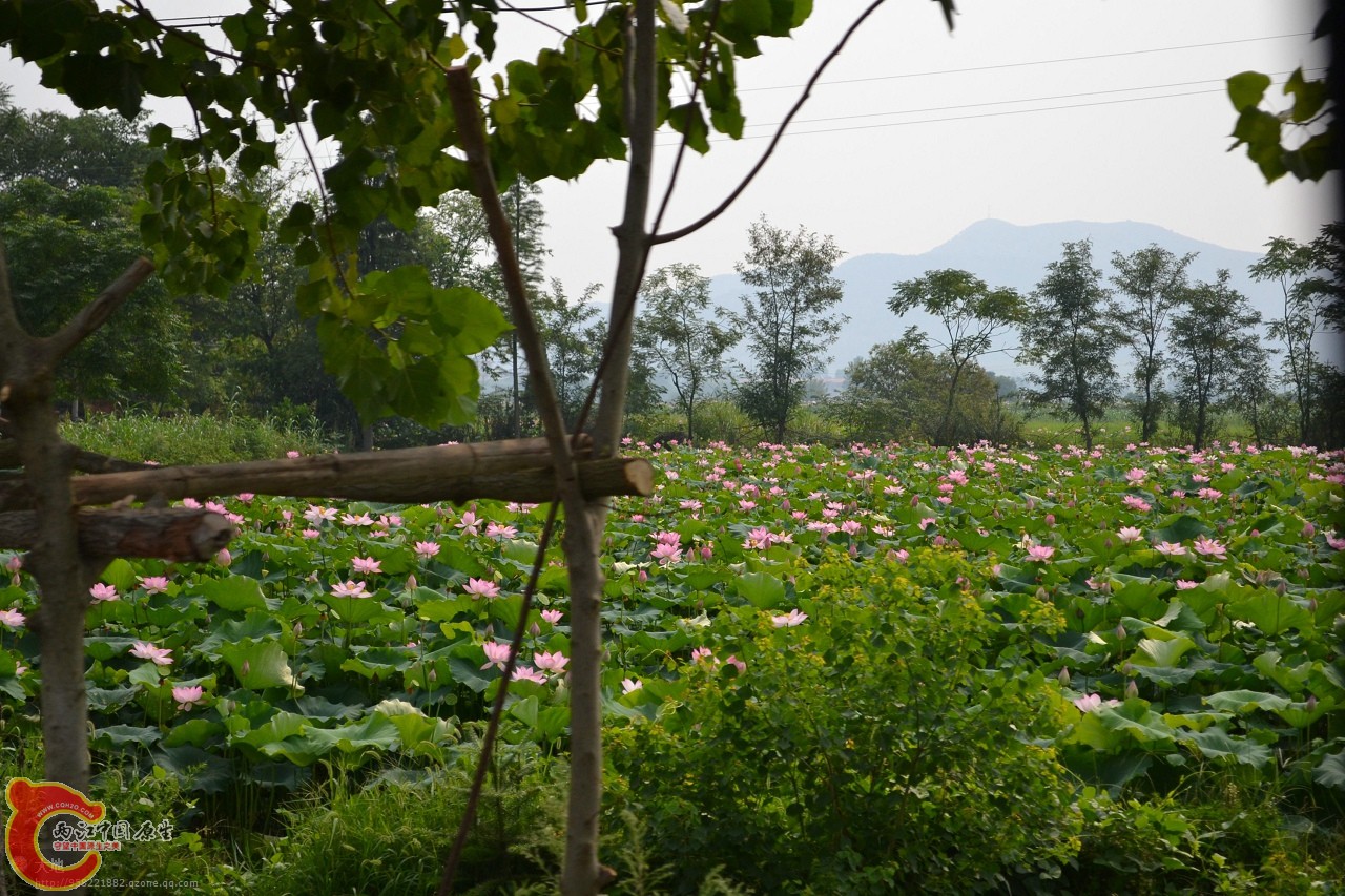 20110730684.jpg