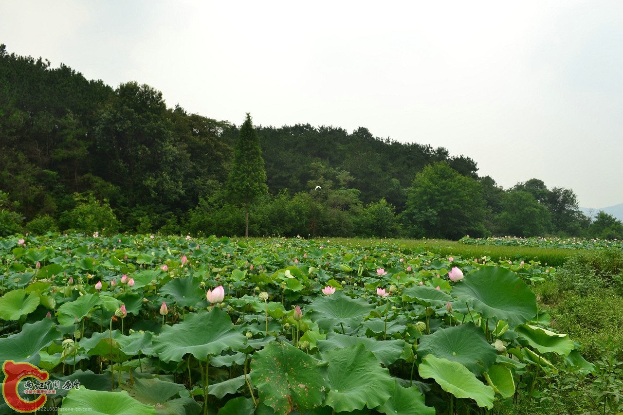 20110730837.jpg