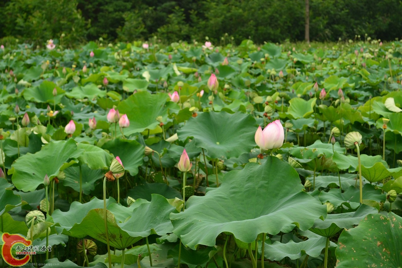 20110730838.jpg