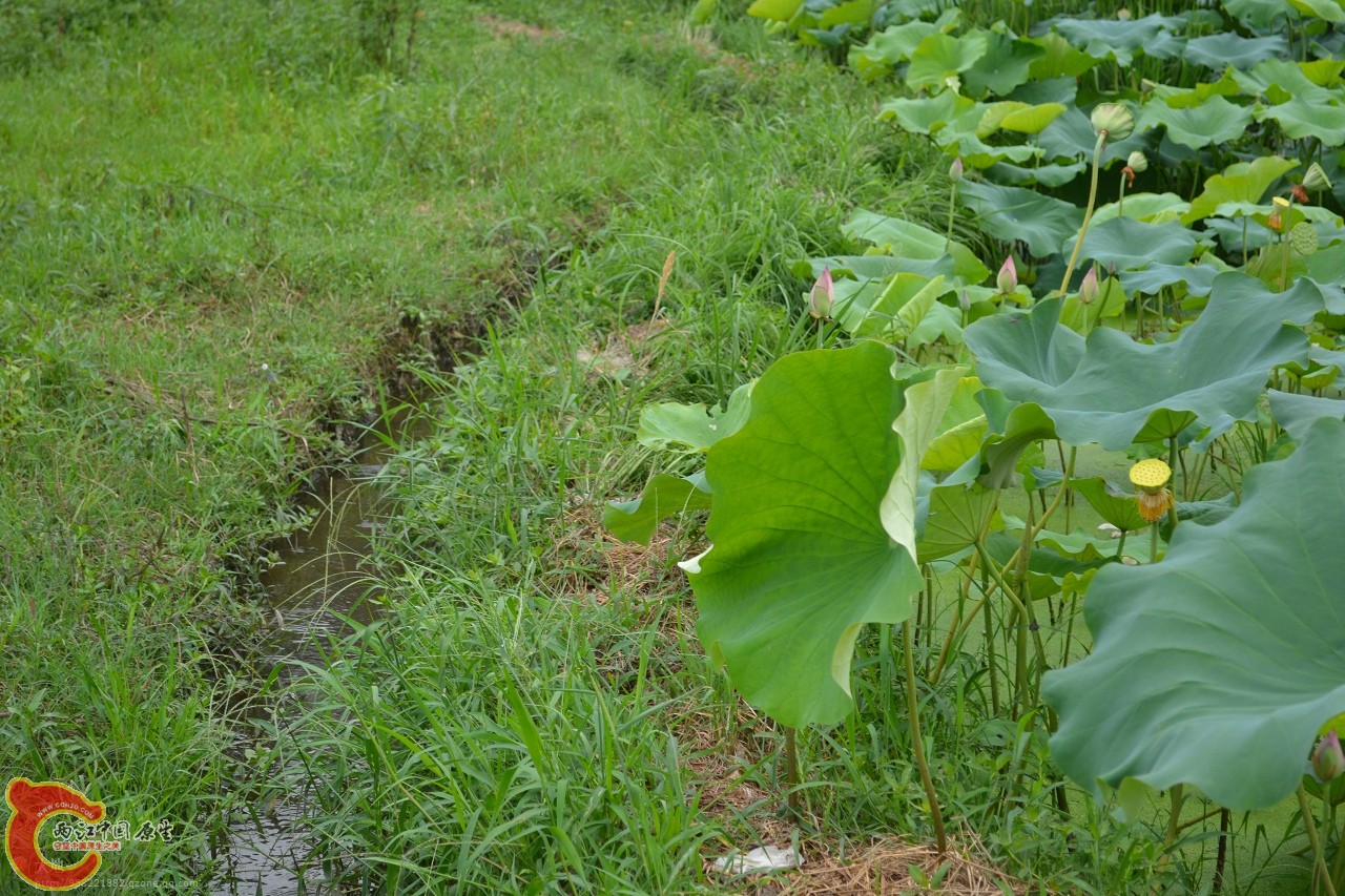 20110730840.jpg