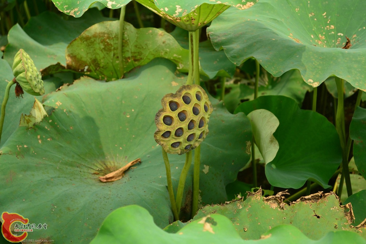 20110730869.jpg