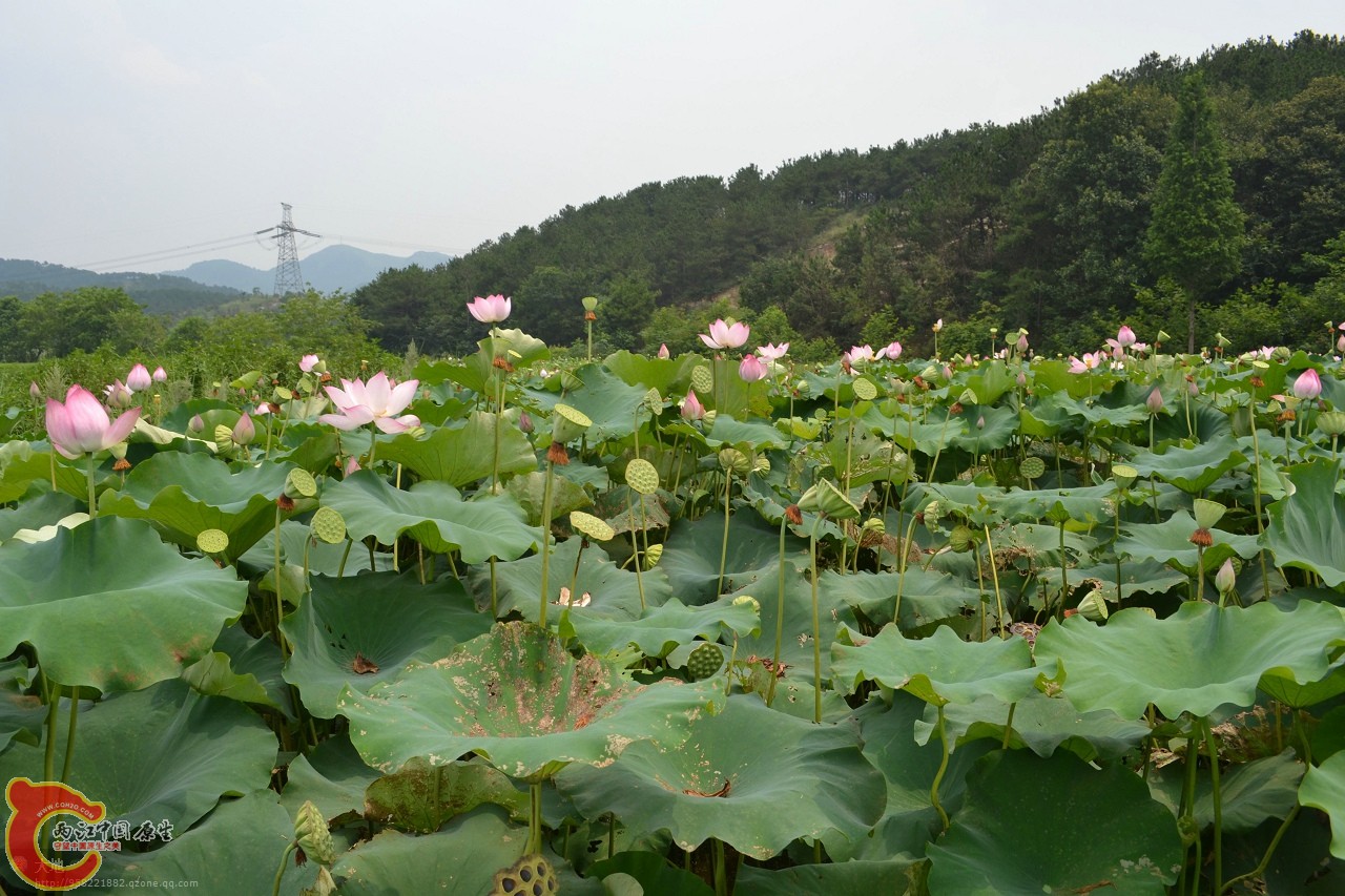 20110730870.jpg