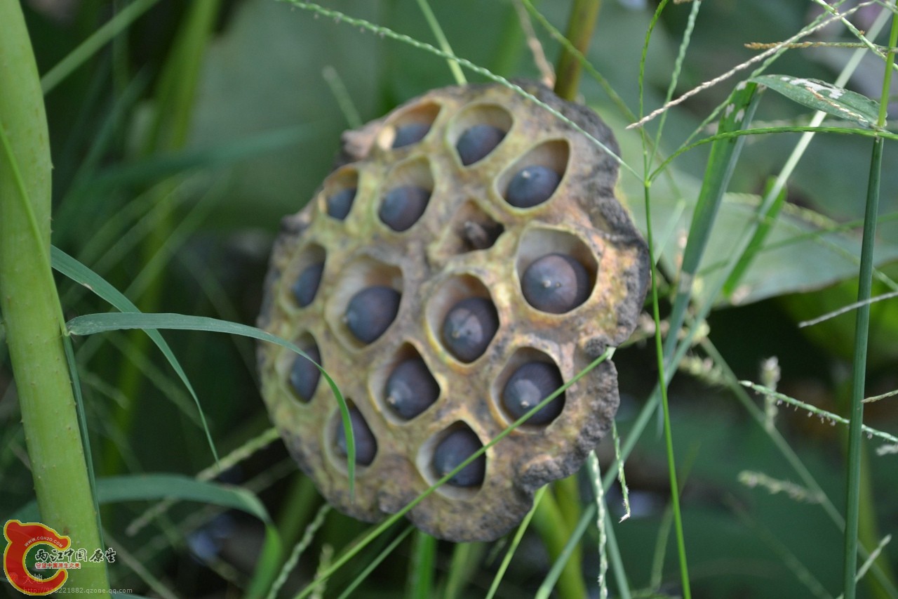 20110730875.jpg
