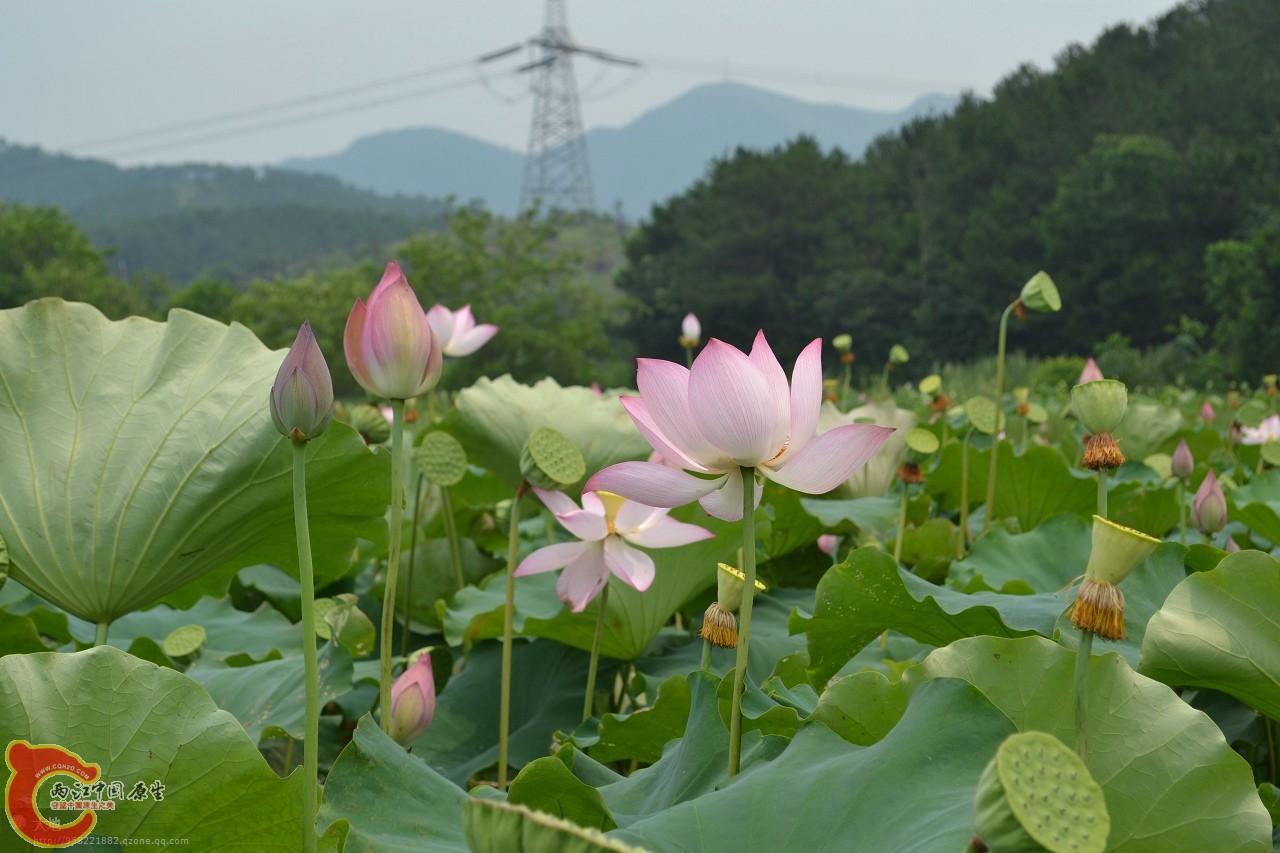 20110730877.jpg