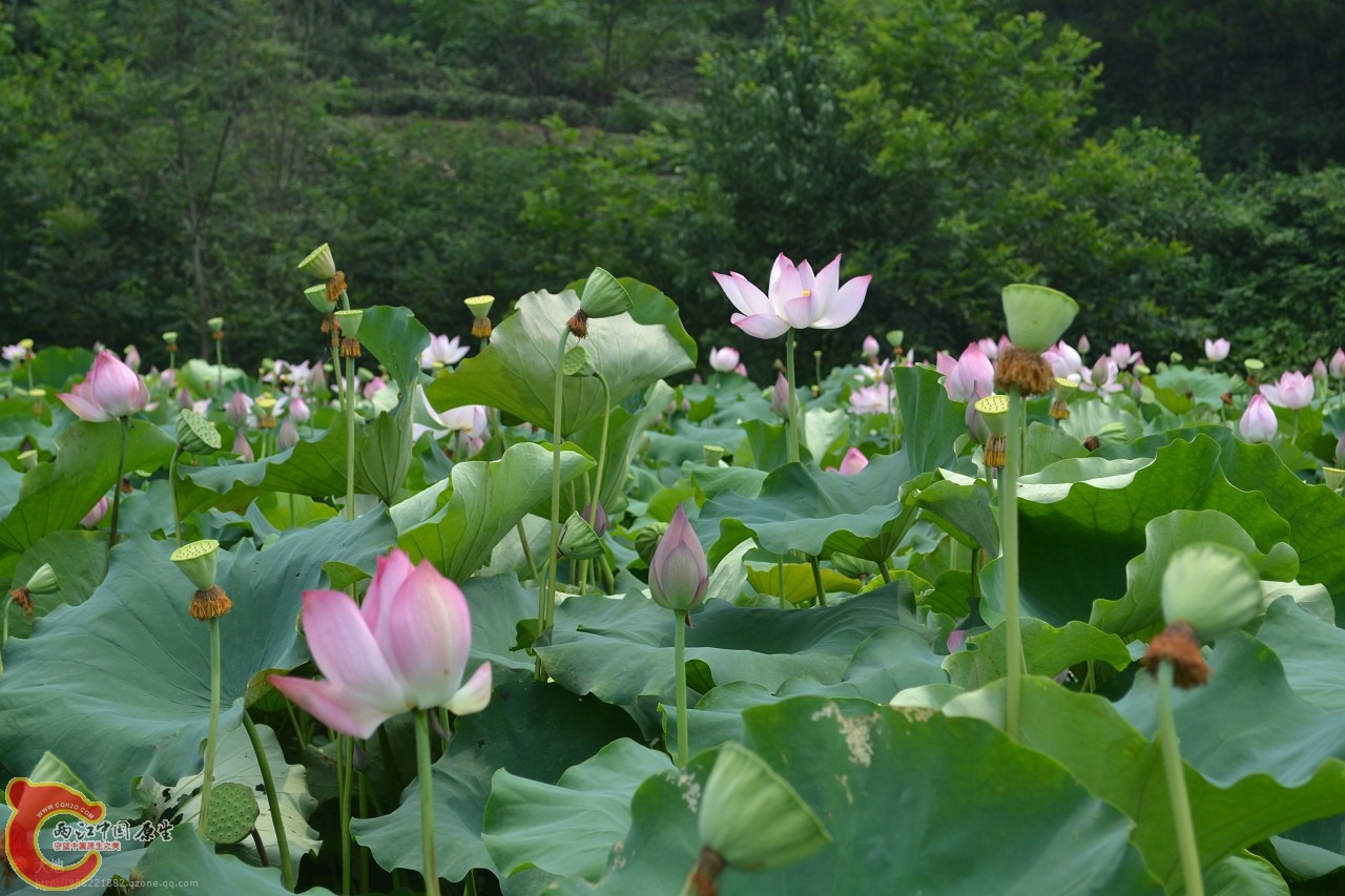 20110730879.jpg