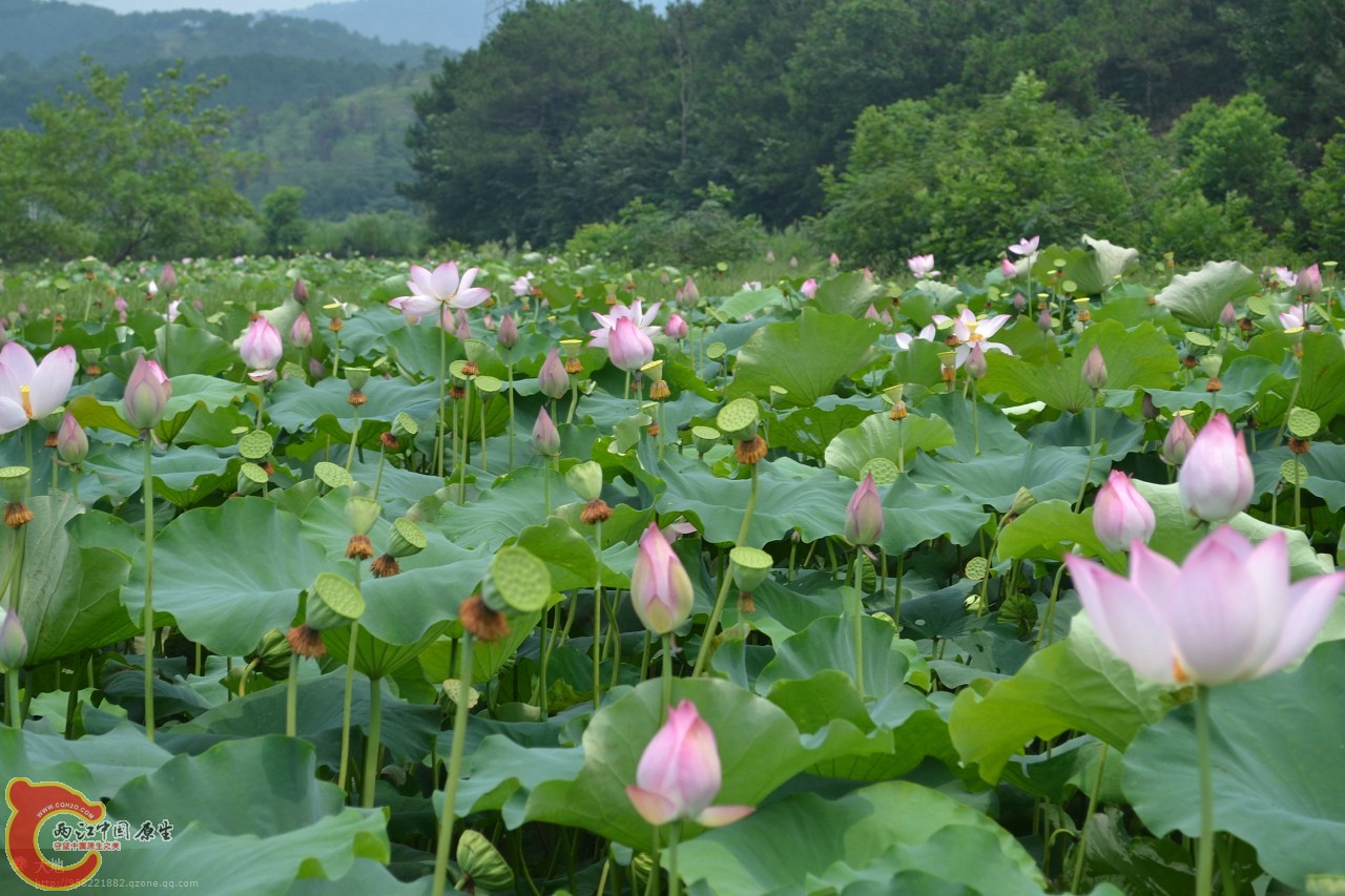 20110730887.jpg